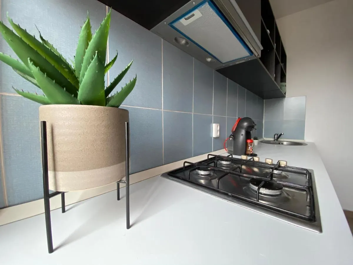 Aqua Apartment Old City ブカレスト